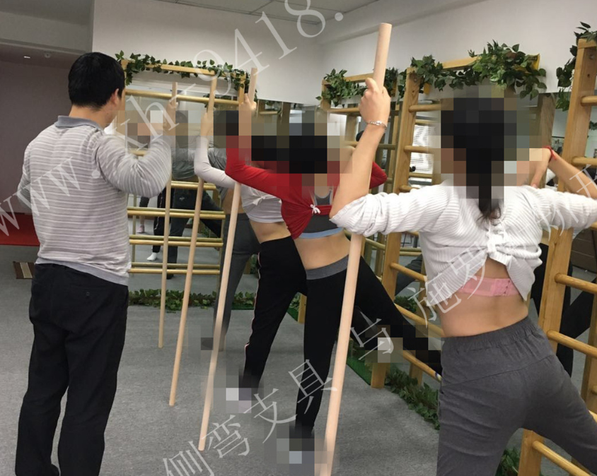 2018暑期（重庆）施罗斯矫形体操特训班计划 近期工作计划 第3张
